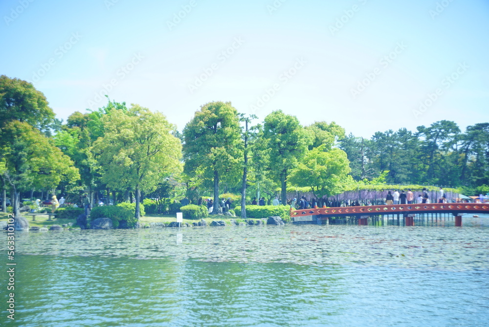 Fototapeta premium 天王川公園 池