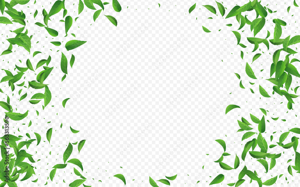 Green Leaf Wind Vector Transparent Background