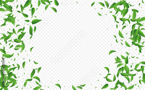 Green Leaf Wind Vector Transparent Background