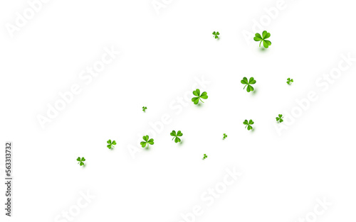 Olive color Clover Saint Patrick Vector White