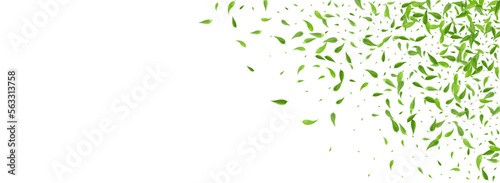 Olive Greens Abstract Vector Panoramic White