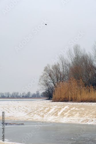 Wallpaper Mural Winter river landscape with in the frozen bank of the river. Cold wet weather with gray sky. Sandy beach with trees. Environmental protection. Outdoor activity for all family. Torontodigital.ca