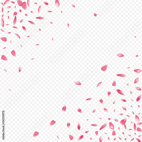 Light Petal Vector Transparent Background. Apple