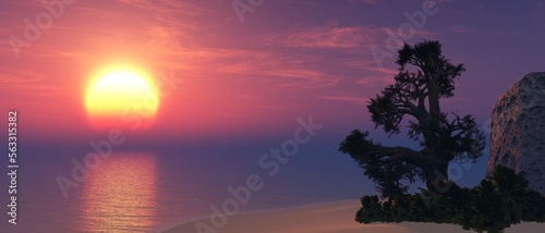 Beautiful sunset on the seashore, a tree against the backdrop of a sunset over the water
