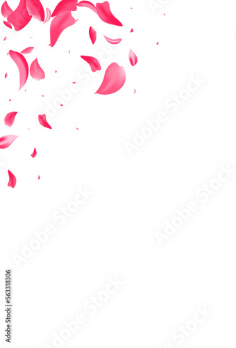 Fototapeta Naklejka Na Ścianę i Meble -  Pink Peach Japanese Vector White Background. Fly