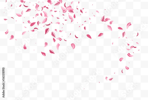 Red Cherry Summer Vector Transparent Background.