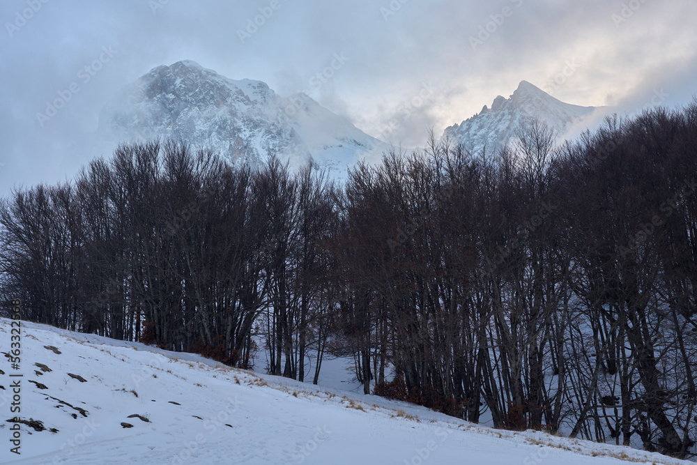 Fototapeta premium Inverno nel Parco Nazionale del Gran Sasso - Prati di Tivo