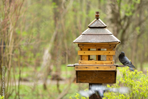Feeder in the park for squirrels and birds in the form of a Japanese house