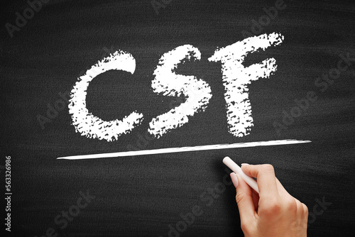 CSF Cerebrospinal Fluid - clear fluid that surrounds the brain and spinal cord, acronym text on blackboard