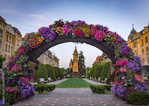 Fotografie Timisoara City