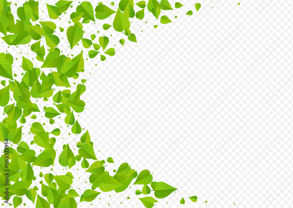 Grassy Leaves Tea Vector Transparent Background