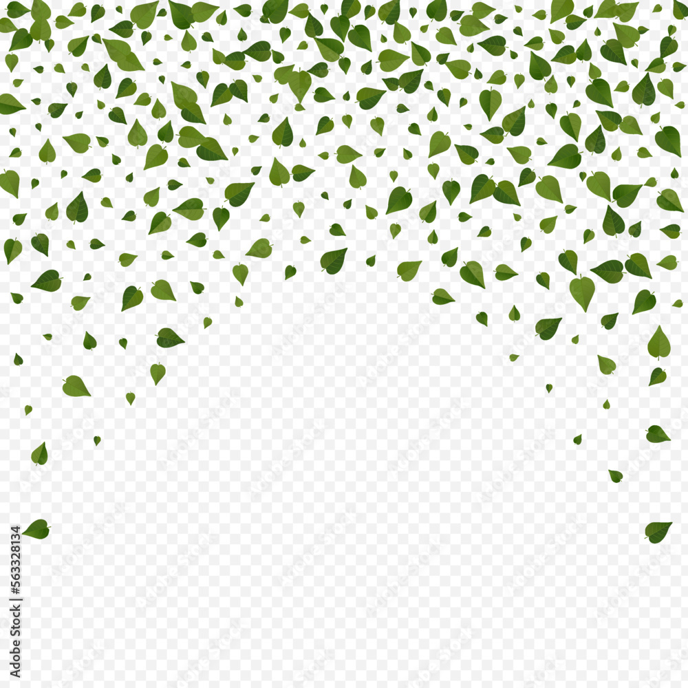 Olive Foliage Falling Vector Transparent Olive Foliage Falling Vector Transparent
