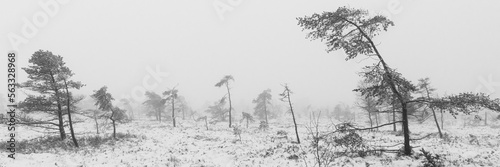 Wallpaper Mural Winterlandschaft Rhön- Impressionen aus dem Schwarzen Moor 20 Torontodigital.ca