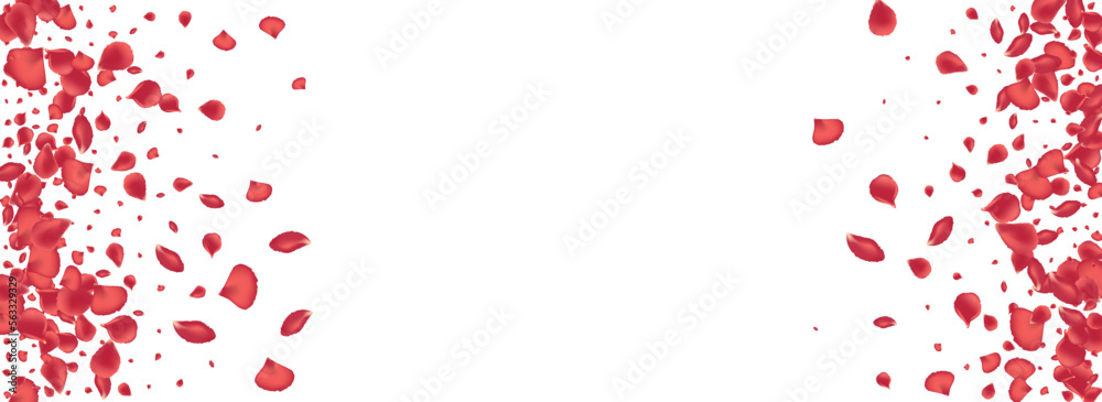 Obraz premium Red Lotus Tender Vector Panoramic White