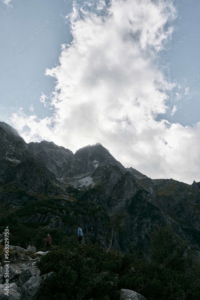 Obraz premium Rocky peak of the mountain. Sunny day in the European mountains.