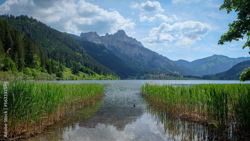 Haldensee in Östereich im Sommer	