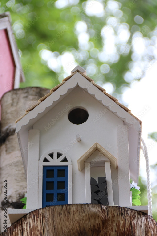 Herzlich Willkommen im kleinen Vogelhaus, Baumhaus, Nistkasten in der Natur