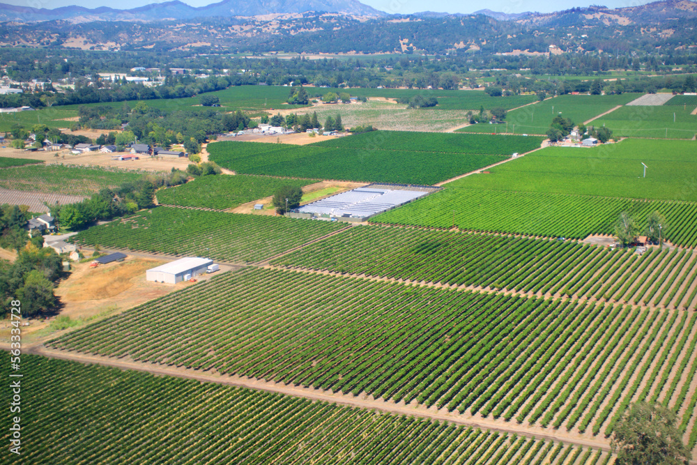 aerial view of green fields in sonoma county wine region farmland aerial view of green fields in sonoma county wine region farmland