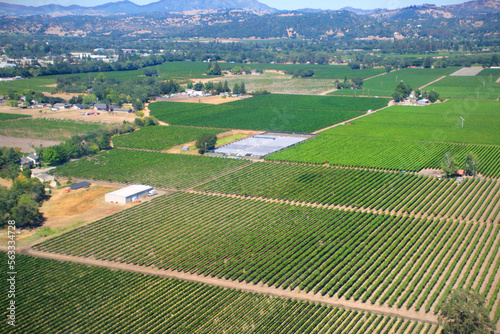 aerial view of green fields in sonoma county wine region farmland  © imagine saturations