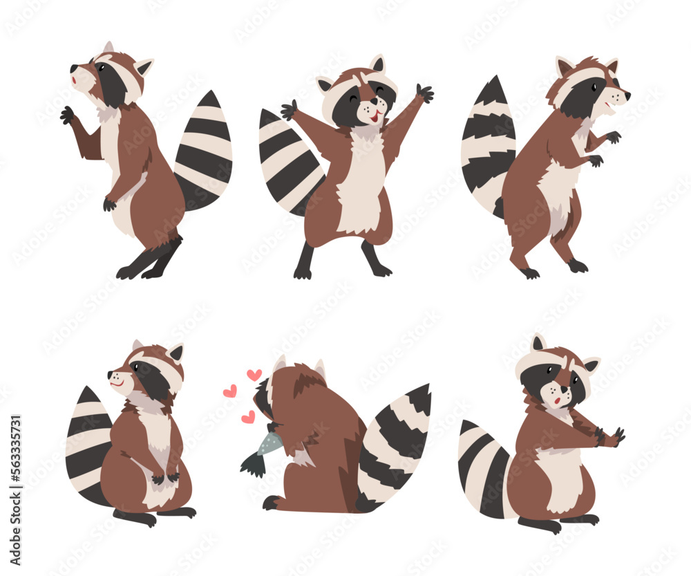 Funny Raccoon with Ringed Tail in Different Pose Vector Set Stock