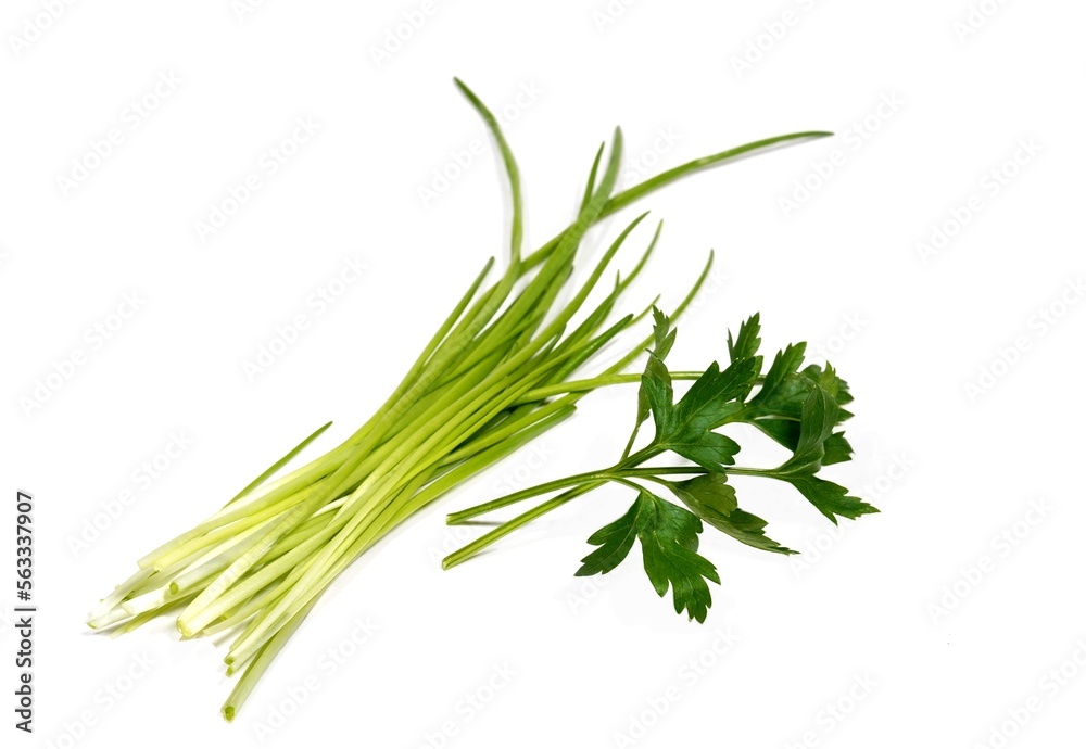 Fototapeta premium Schnittlauch und Petersilie