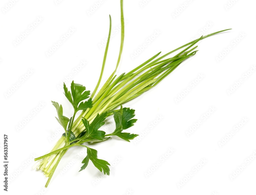 Fototapeta premium Schnittlauch und Petersilie