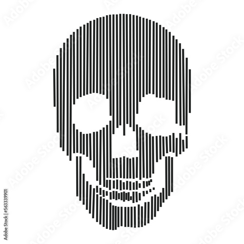 Vector line- art skull made by vertical lines. Human skull front view, enlightened from under.