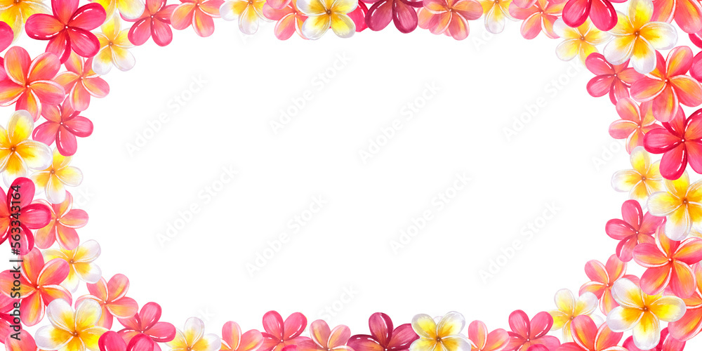 Banner frame made of plumeria frangipani garland. Floral design. Hawaiian blossom. Hand-drawn watercolor illustration isolated on white background