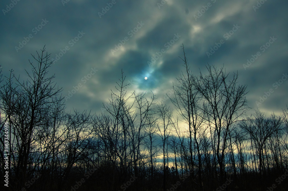 Obraz premium On a Winter morning in Wisconsin, the sun appears as a small white dot as it penetrates an opening in an otherwise cloudy sky about a forest of silhouetted bare trees.