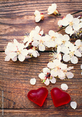 Valentines day concept. Symbol of love red hearts from marmalade and flowering branch with white delicate flowers on wooden surface. 