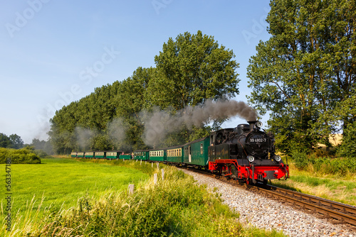 Fototapeta Rasender Roland steam train locomotive railway in Serams, Germany