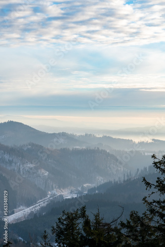 Panoramic view from the top of Dzikowiec Mountain, in Boguszow-Gorce near Walbrzych in Poland. Branches in foreground, selective focus. Polular viewing tower.