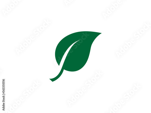 Green leaf vector design and illustration.