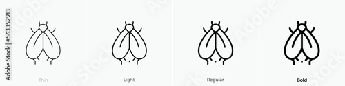 cicada icon. Thin, Light Regular And Bold style design isolated on white background