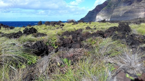 Falaise basaltique sur l'océan atlantique au ponta do Escalvado sur l'île de Sao Miguel Archipel des Açores, Portugal. Europe