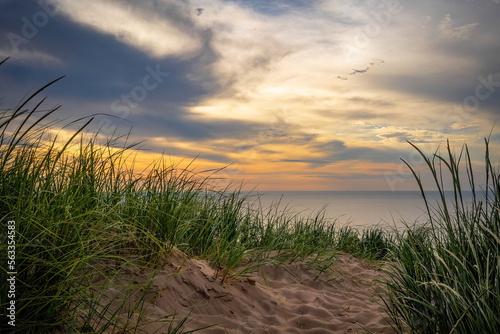 sand dune sunset