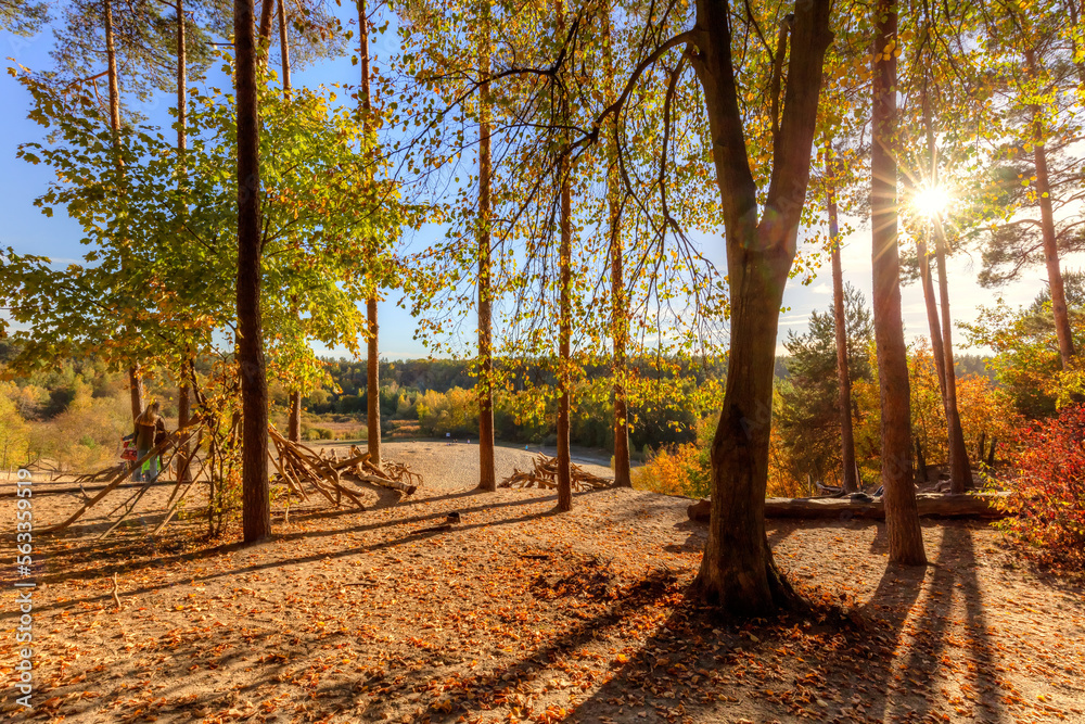 Sandgrube im Grunewald Berlin