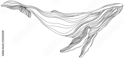 Abstract whale floating underwater. Illustration isolated animal on white background. Ocean mammal swimming.