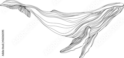 Abstract whale floating underwater. Illustration isolated animal on white background. Ocean mammal swimming.