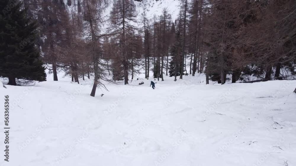 Advanced Girl Ski Touring / Ski mountaineering alone on fresh snow skiing in the forest in the Italian alps, exploring in freedom, coming down a slope. 4K video drone footage with DJI Mavic Mini 2 Advanced Girl Ski Touring / Ski mountaineering alone on fresh snow skiing in the forest in the Italian alps, exploring in freedom, coming down a slope. 4K video drone footage with DJI Mavic Mini 2