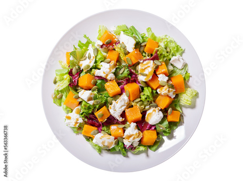 plate of salad with baked pumpkin and cream cheese isolated on transparent background, top view