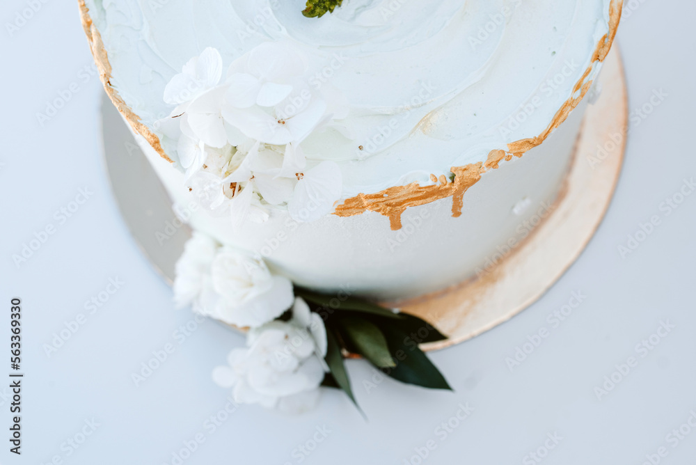 Obraz na płótnie Biały kremowy czekoladowy tort w salonie