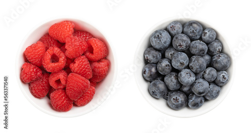 Fresh raspberries and blueberries  in white bowls  from above. Whole and ripe fruits of the cultivated European raspberry and the northern highbush blueberry  Rubus idaeus and Vaccinium corymbosum.