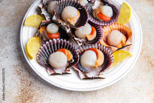 scallops in shell fresh seafood meal food snack on the table copy space food background rustic top view pescatarian diet