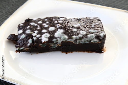Moldy chocolate cake on a white background