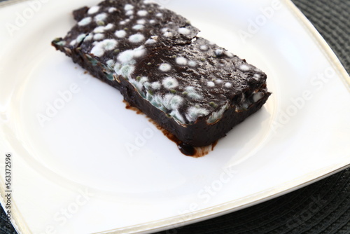 Moldy chocolate cake on a white background
