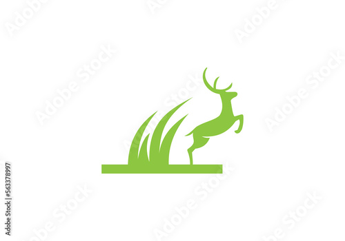 this is a deer logo design for your business