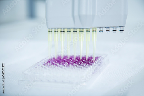 cell culture at the medicine, medical and cell culture laboratory
