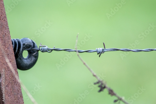 Old barbwire fence or military fence restricted agricultural field protects grassland of farmers and grazing cows with spikey and rusty spikes showing wool from grazing animals on rusty barbed wire