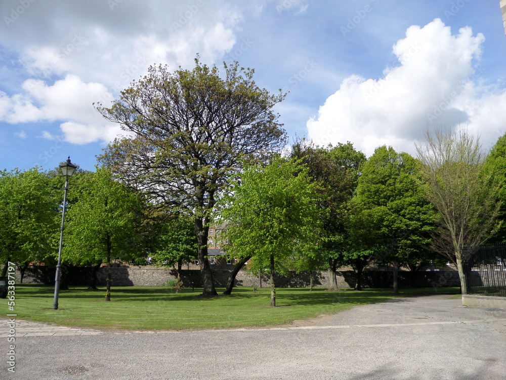 Árvores em parque